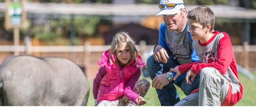 Disfrutar del verano en nuestras estaciones Cuando se funde la nieve es el momento perfecto para disfrutar de la naturaleza en todo su esplendor. En nuestras estaciones encontrarás multitud de propuestas para disfrutar de un día de actividades y diversión con los tuyos. Las estaciones de Andorra se transforman en auténticos paraísos para los amantes de la naturaleza y la aventura. En verano, Grandvalira, Pal Arinsal, Ordino Arcalís y Naturland ofrecen mucho más que paisajes espectaculares: rutas de senderismo, circuitos en bicicleta, actividades para toda la familia y una amplia oferta de ocio al aire libre. Estas estaciones se convierten en espacios ideales para desconectar, respirar aire puro y vivir experiencias inolvidables en el corazón de los Pirineos.